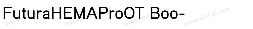 FuturaHEMAProOT Boo字体转换